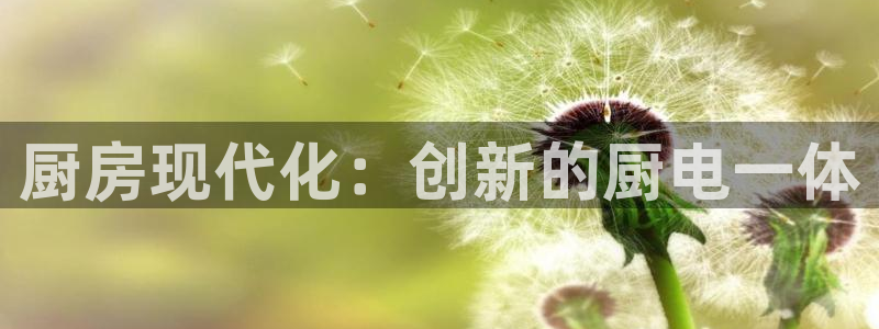 鸿运通商平台