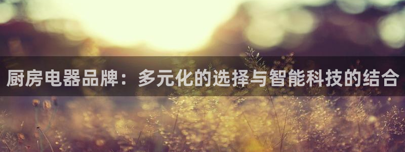 鸿运通商平台