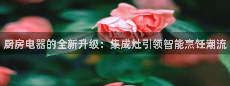 鸿运信投是平台