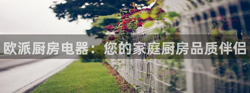 鸿运网上娱乐平台