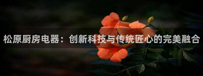 鸿运平台被骗事件