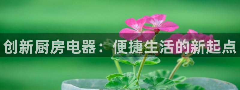 鸿运东方平台