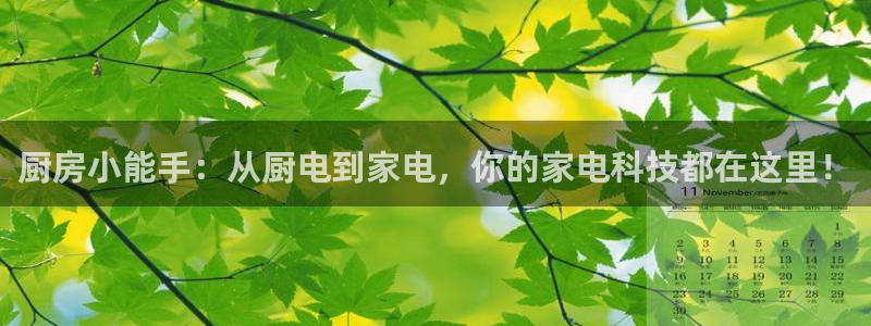琥珀鸿运平台怎样赚钱的