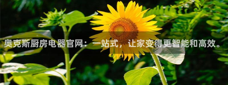 鸿运国际平台国