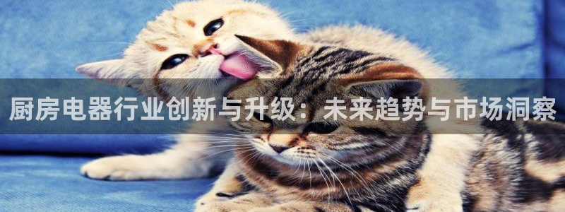鸿运采平台