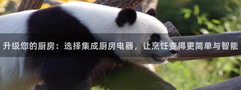 鸿运食品直播平台