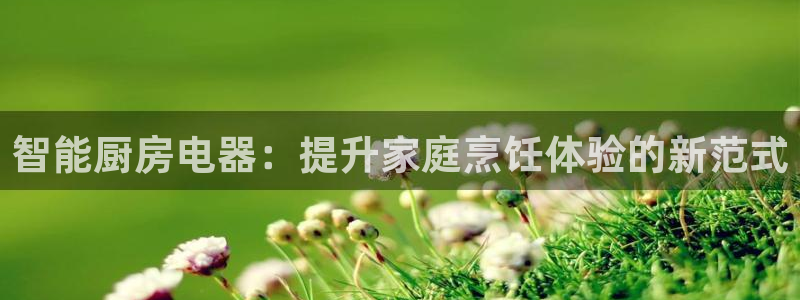 被鸿运平台骗