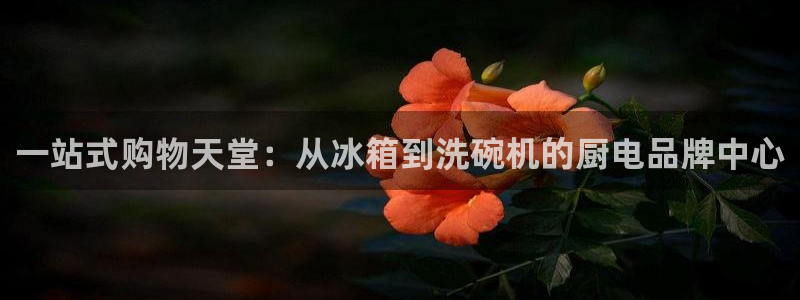 鸿运九九平台