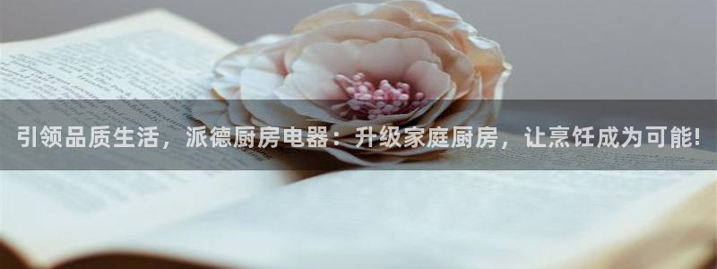 鸿运国际平台台
