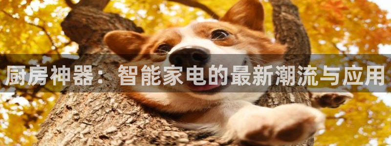 鸿运通贷款平台