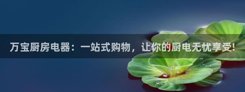 正规鸿运国际平台