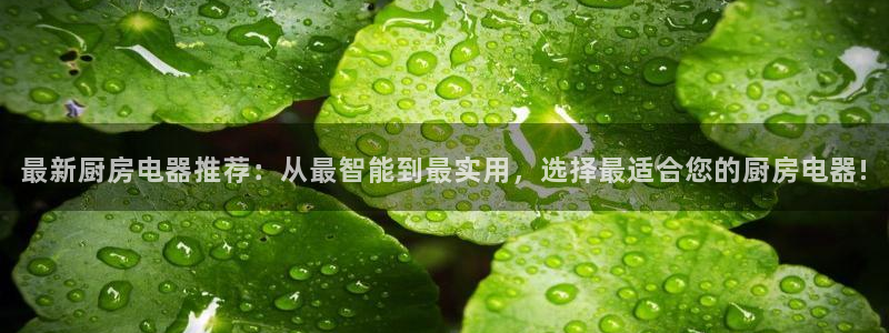 香港鸿运黑平台