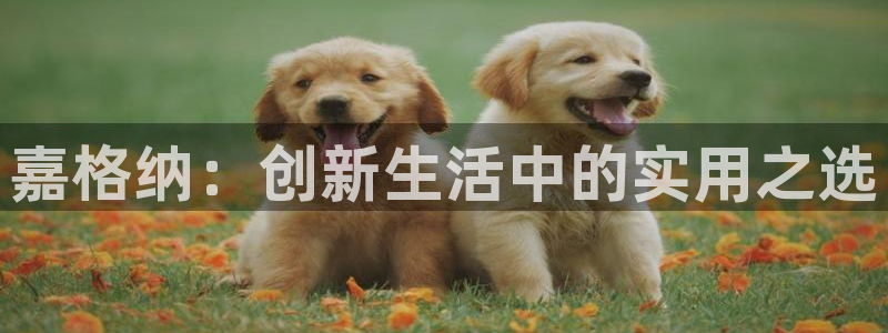ZJ鸿运平台