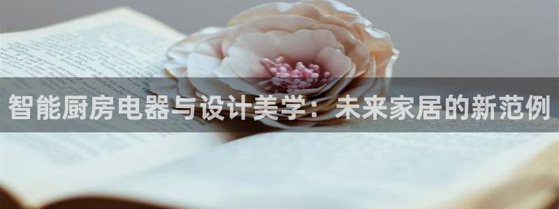 铜陵鸿运拍卖平台
