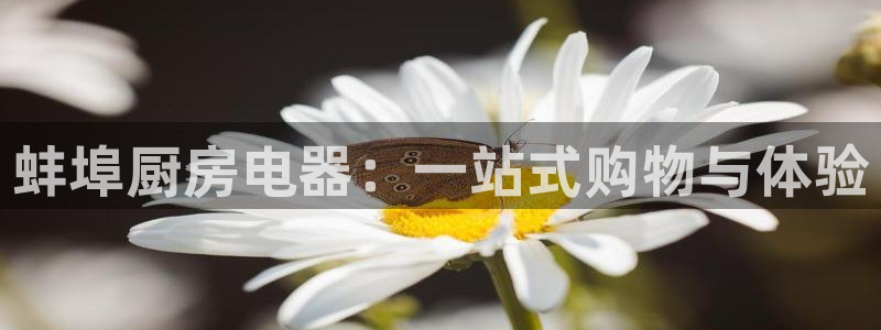 鸿运大发总代理平台