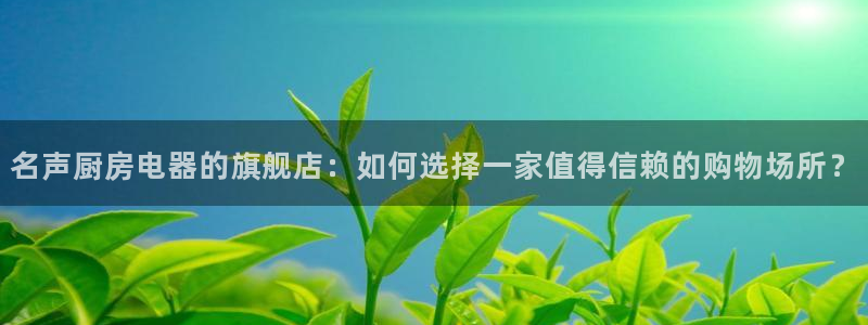 鸿运策略股票平台骗局
