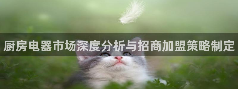 鸿运官方平台