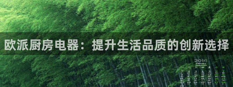 鸿运最新平台叫什么