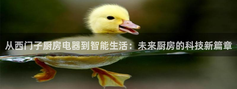 鸿运商滴管理平台