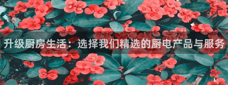 鸿运宝投资理财平台