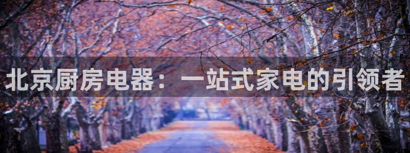 鸿运电商平台