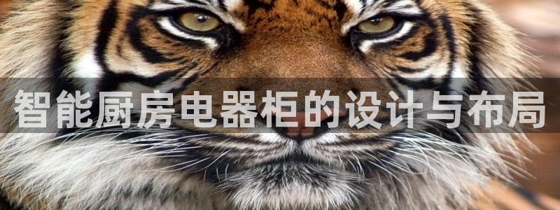 鸿运体育平台