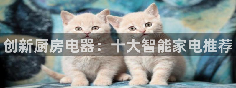 鸿运寄卖回收平台
