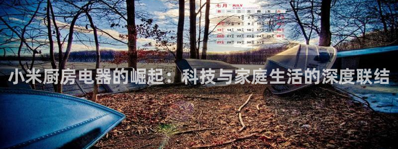 鸿运借款是什么平台