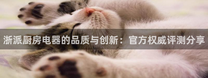 鸿运快三彩票平台