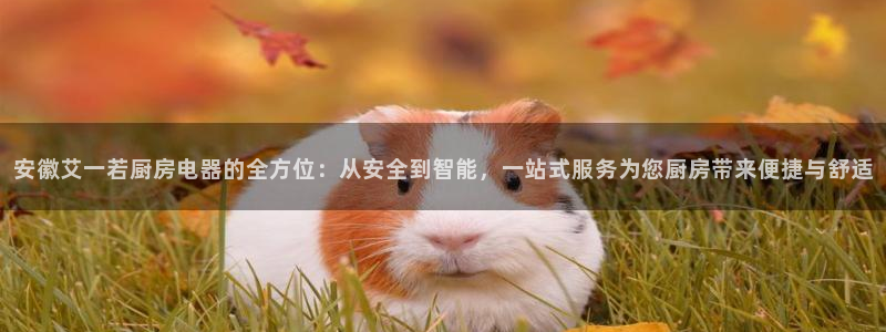 鸿运升降机械平台
