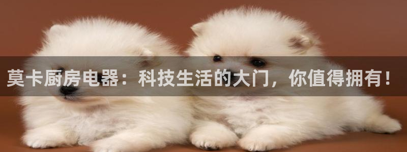鸿运国际黑平台