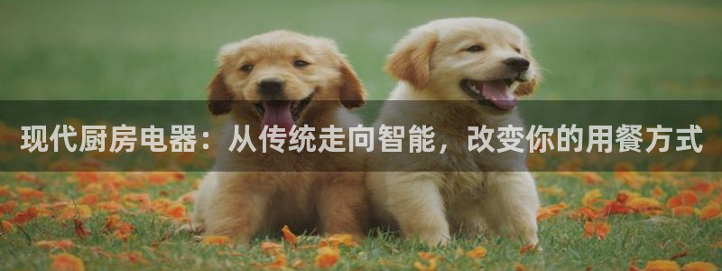 新鸿运娱乐平台