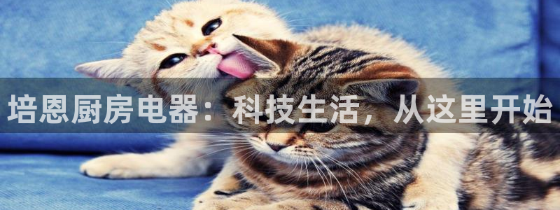 鸿运外汇平台