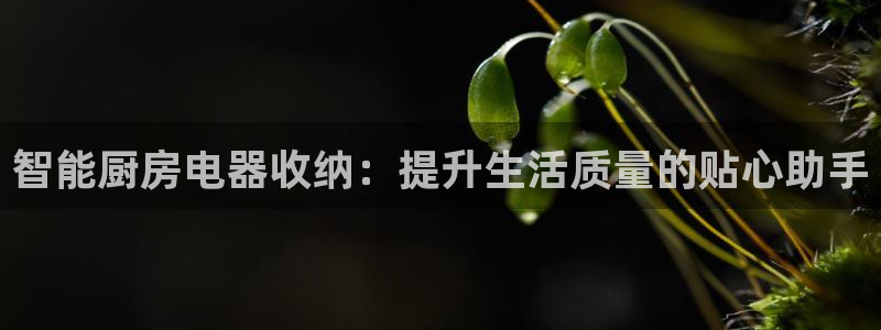 鸿运到游戏平台