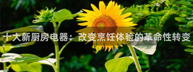 鸿运汽配团购平台