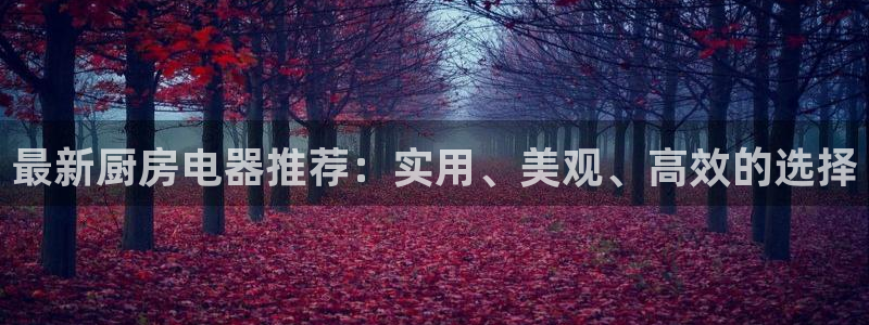 鸿运平台被黑