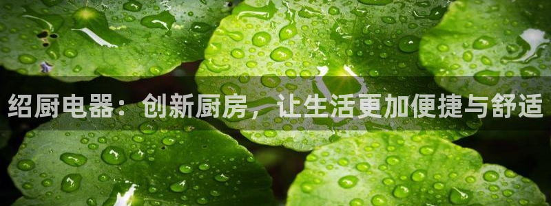 鸿运游戏直播平台