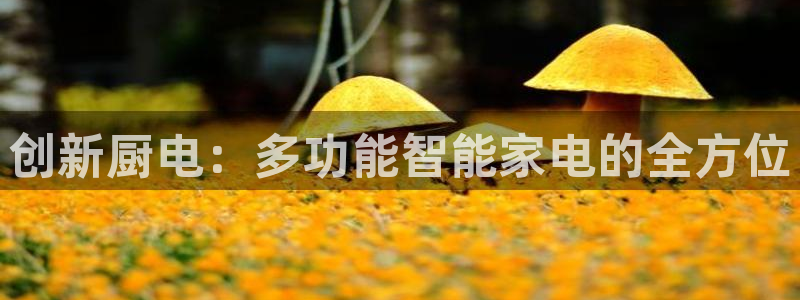 鸿运彩票平台下载