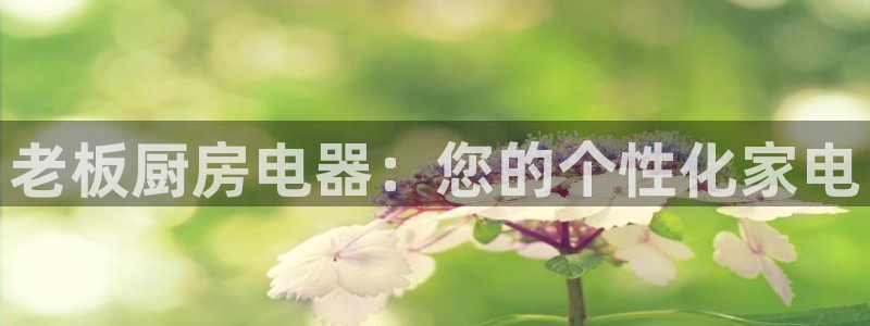 鸿运平台兼职可靠吗