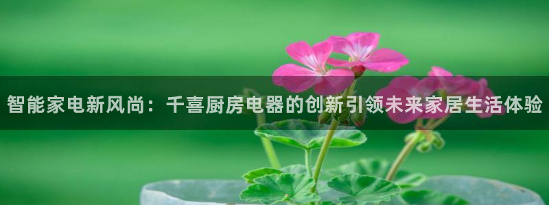 鸿运平台投资诈骗事件