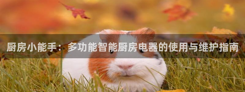 鸿运借款平台可靠吗