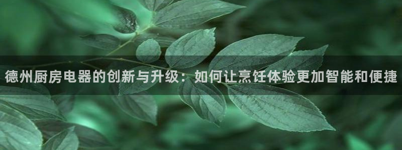 鸿运来补单平台