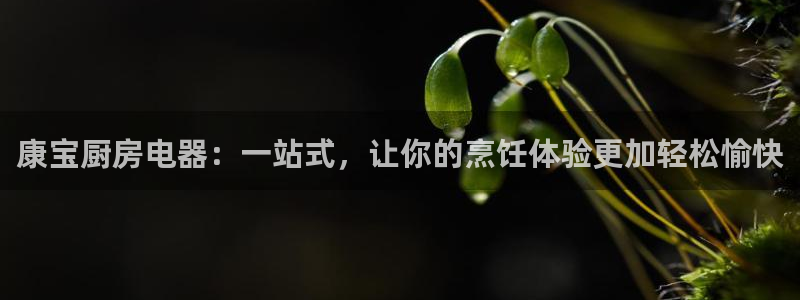 鸿运当头借款平台