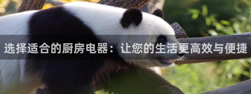 鸿运平台投资诈骗