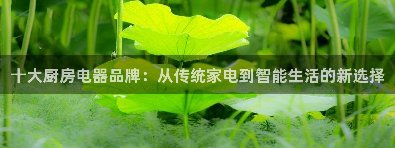 鸿运网上平台