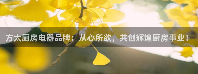 鸿运推单平台