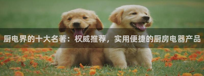 鸿运到游戏平台
