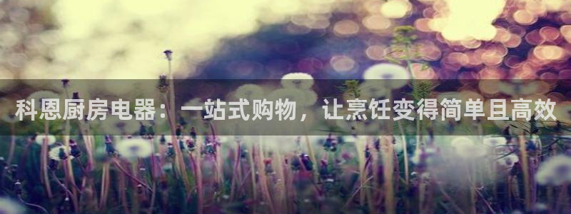 鸿运最新平台