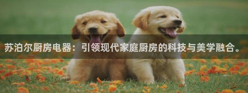 鸿运彩票网络平台官网