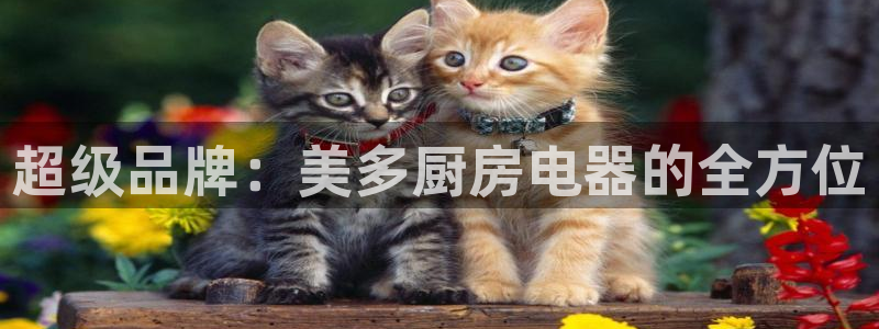鸿运集团办公平台
